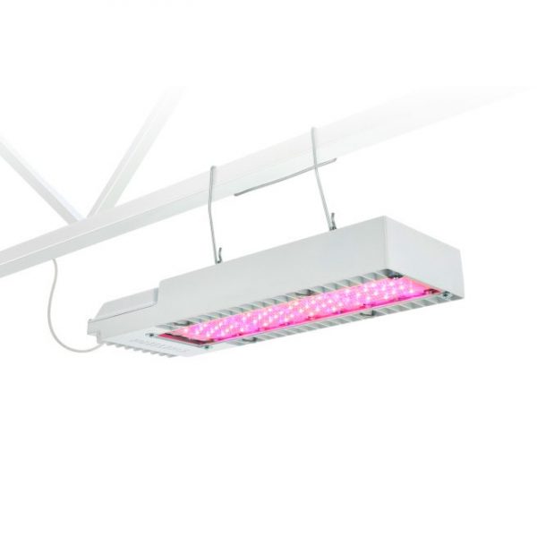 Iluminación LED superior GreenPower compacta